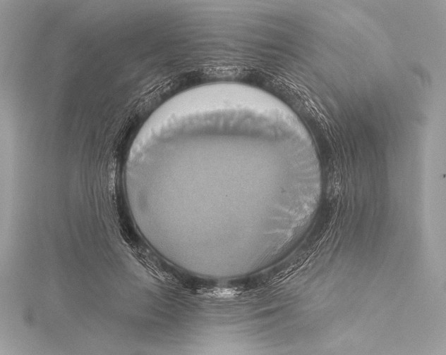 X0000115330647200911301528