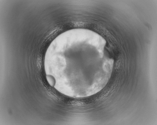 X0000115330648200911301528