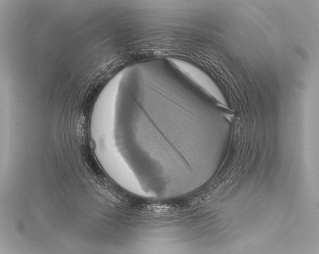 X0000115330650200911301528