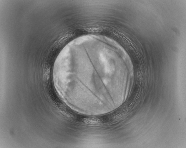 X0000115330652200911301528