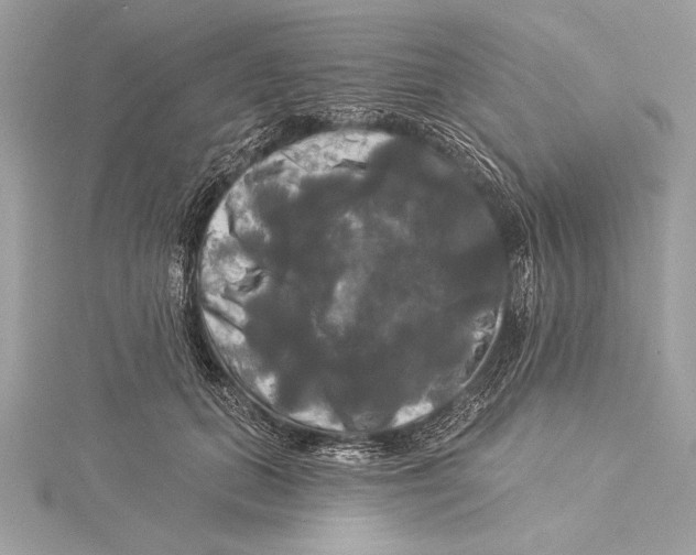 X0000115330655200911301528