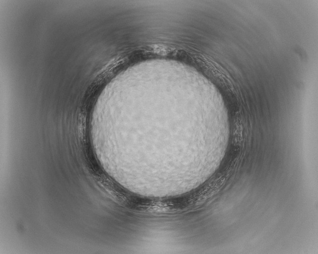 X0000115330656200911301528