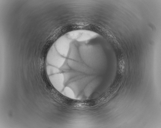 X0000115330657200911301528