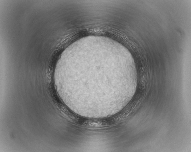 X0000115330658200911301528