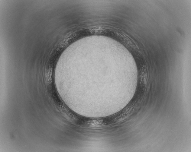 X0000115330660200911301528