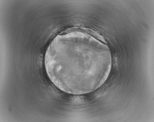 X0000115330664200911301528