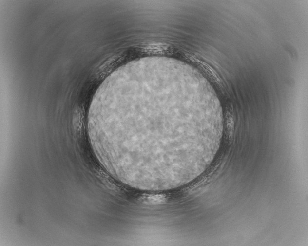 X0000115330665200911301528