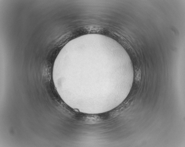 X0000115330666200911301528