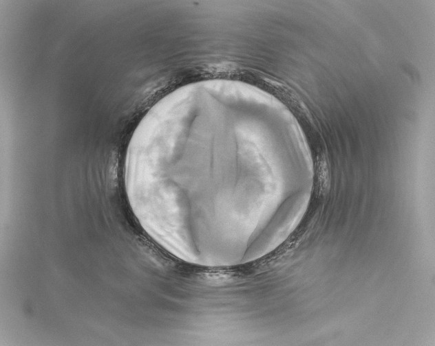 X0000115330668200911301528