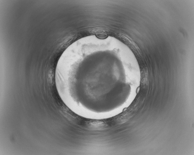 X0000115330669200911301528