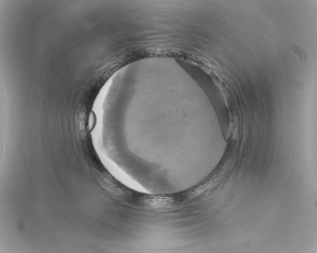 X0000115330670200911301528