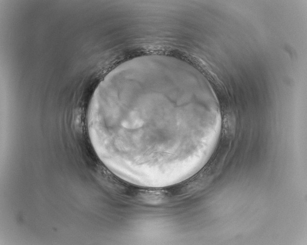 X0000115330671200911301528