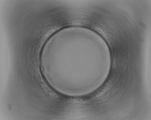 X0000115330673200911301528