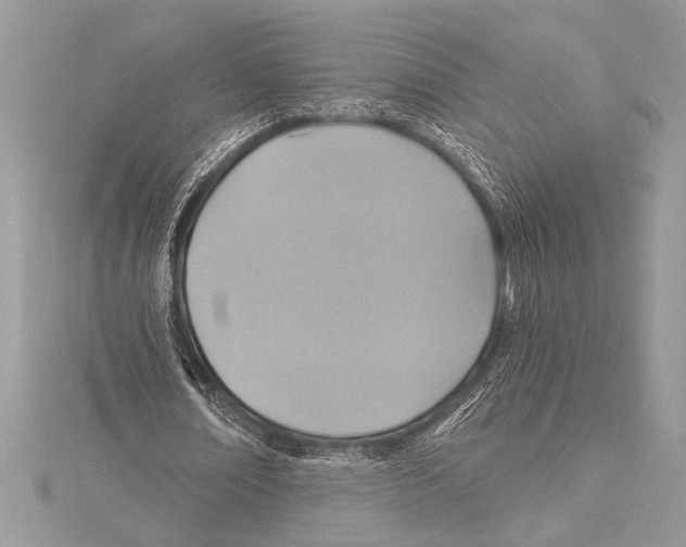 X0000115330674200911301528