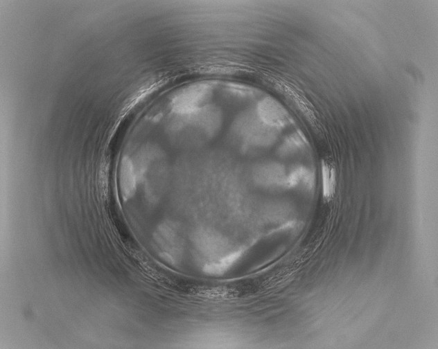 X0000115330675200911301528