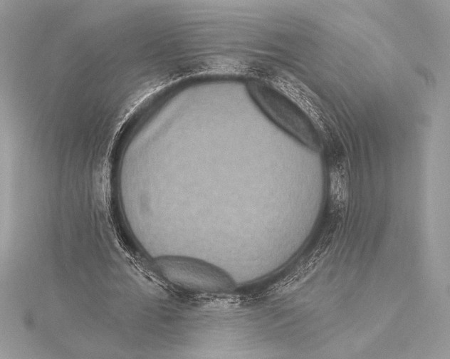 X0000115330676200911301528