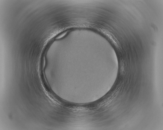 X0000115330677200911301528