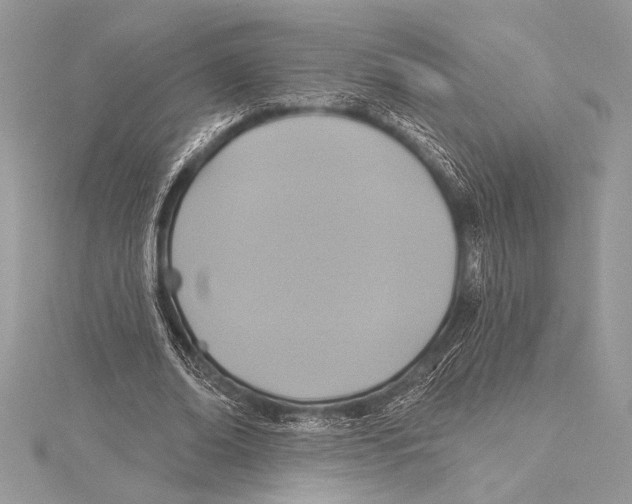 X0000115330678200911301528