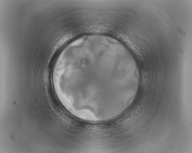 X0000115330679200911301528