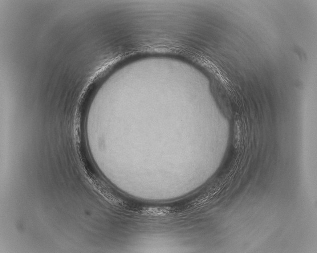 X0000115330680200911301528