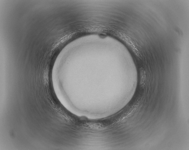 X0000115330681200911301528