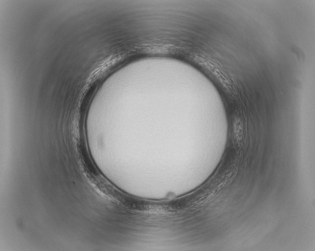 X0000115330682200911301528