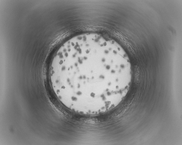 X0000115330683200911301528