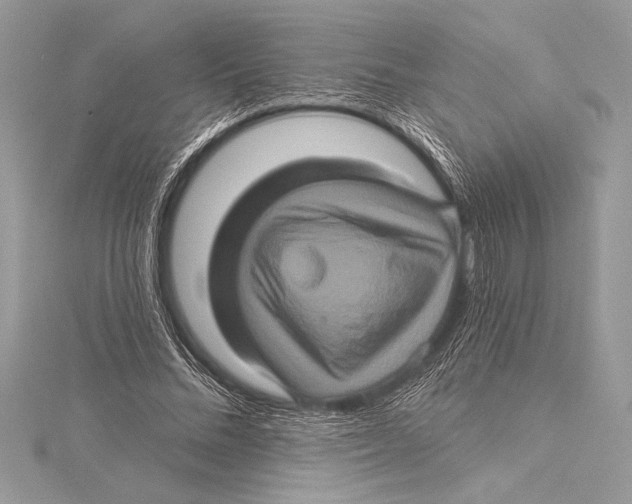 X0000115330684200911301528