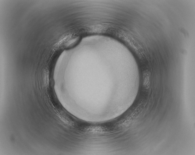 X0000115330685200911301528