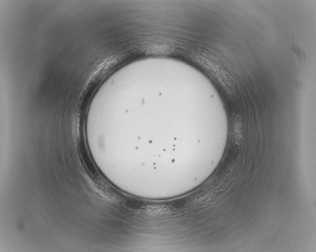 X0000115330686200911301528