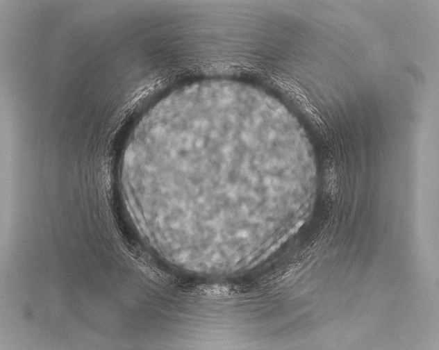 X0000115330687200911301528