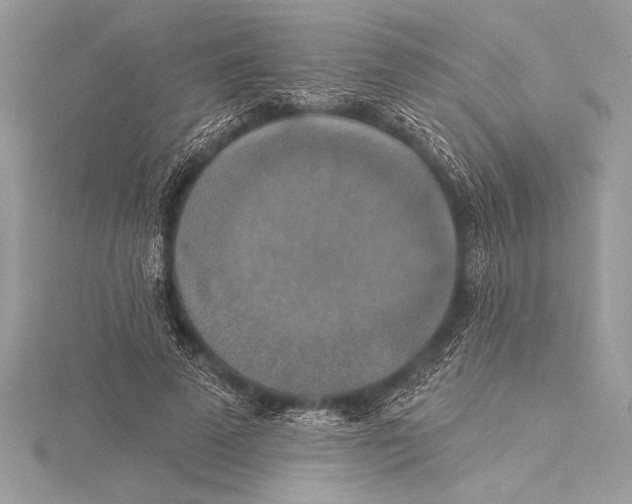 X0000115330689200911301528