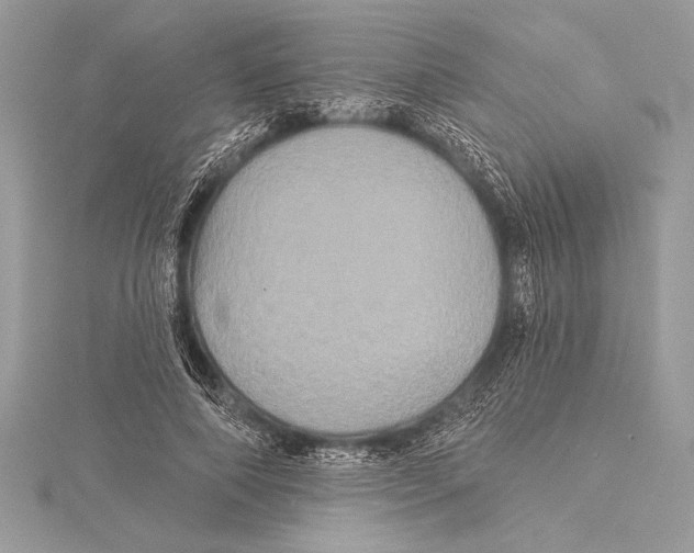 X0000115330690200911301528