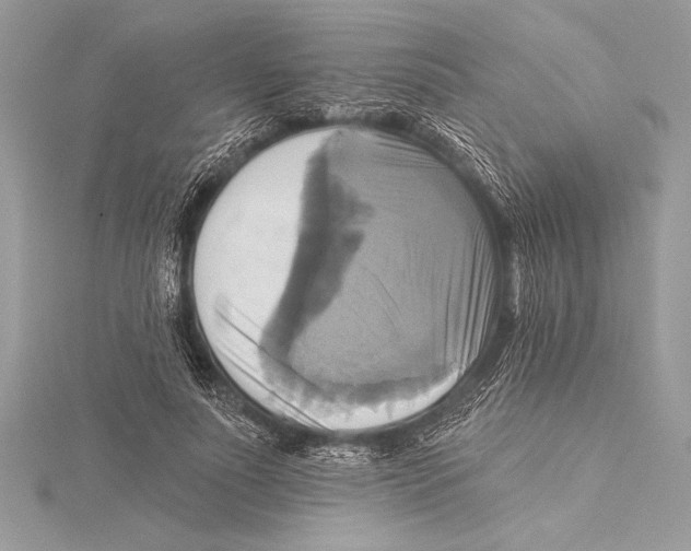 X0000115330691200911301528