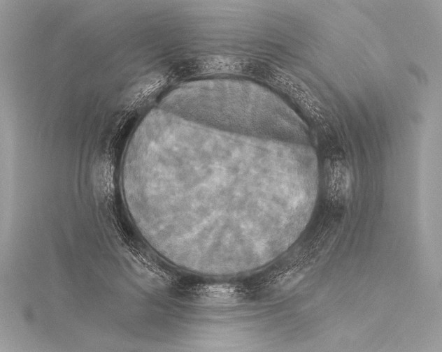 X0000115330692200911301528