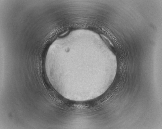 X0000115330693200911301528