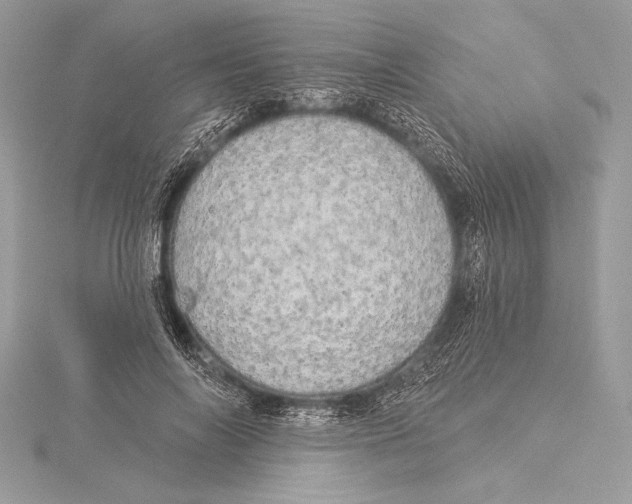 X0000115330694200911301528