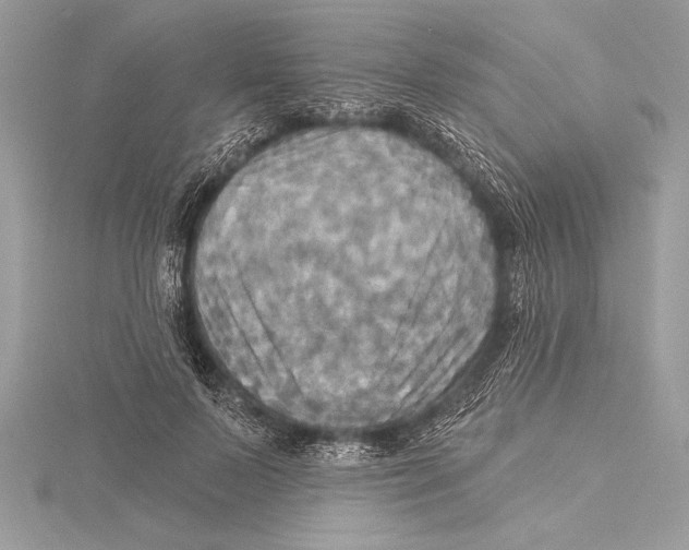 X0000115330695200911301528