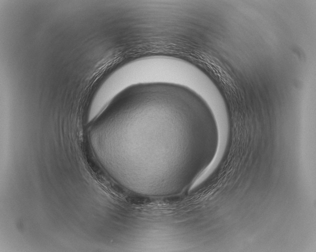 X0000115330696200911301528