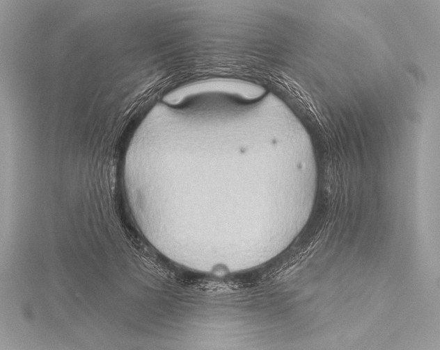 X0000115330697200911301528