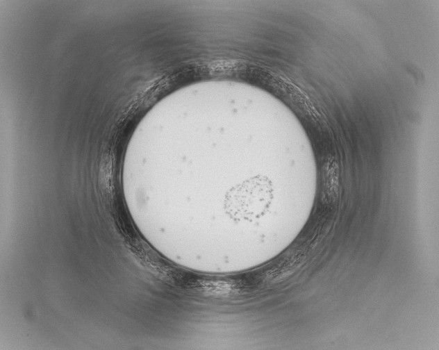 X0000115330698200911301528