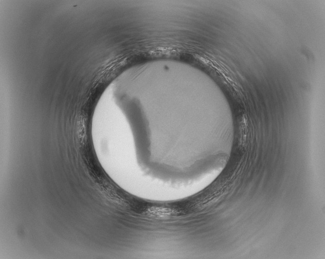 X0000115330699200911301527