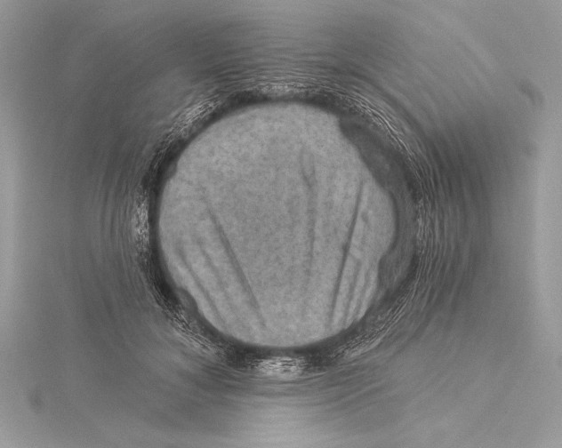 X0000115330700200911301527