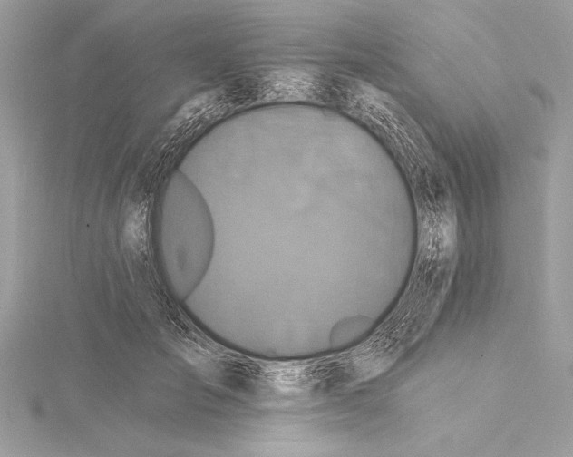 X0000115330701200911301527