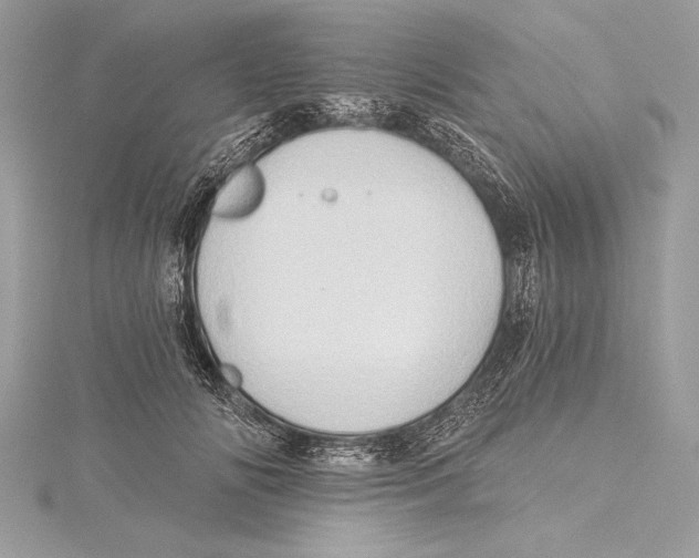 X0000115330702200911301527