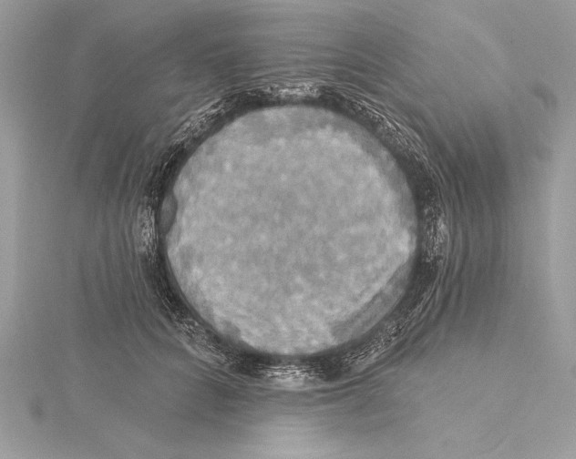 X0000115330704200911301527