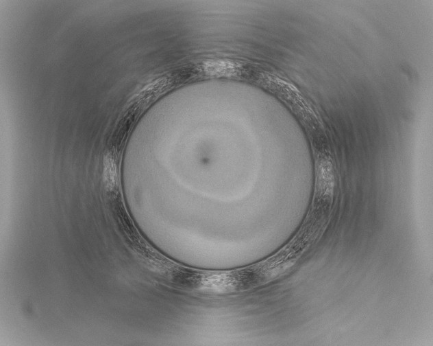 X0000115330705200911301527