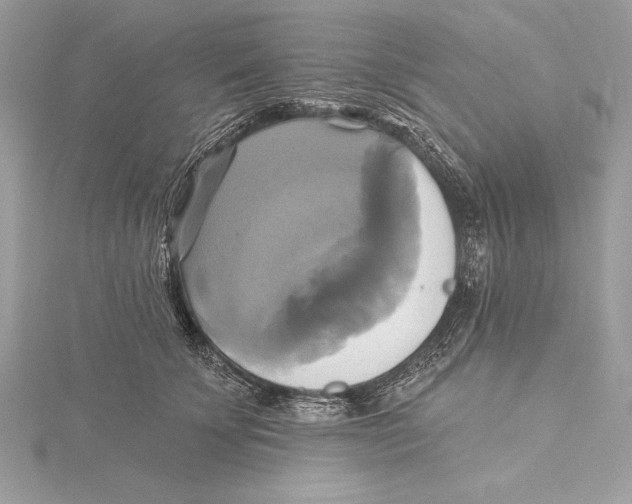 X0000115330707200911301527