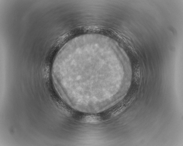 X0000115330708200911301527