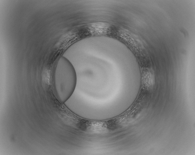 X0000115330709200911301527